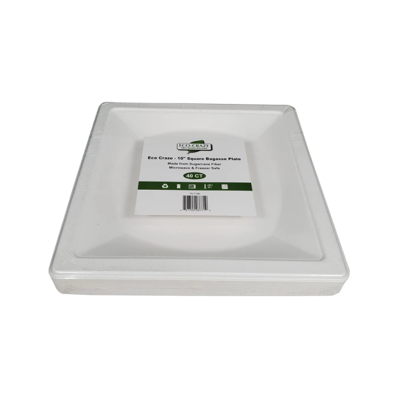 10" Square Bagasse Plate - Retail Pack